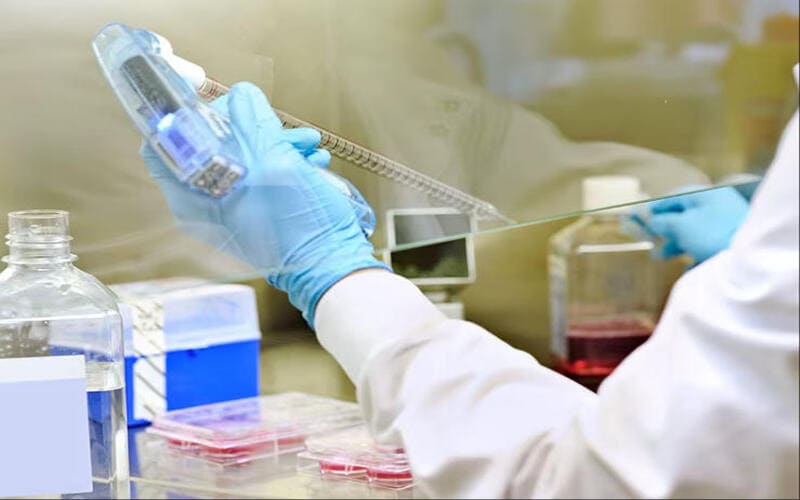 Compliant with international standards